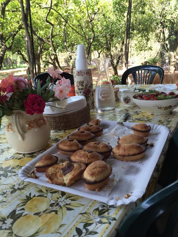 Casina Mozart Lecce Bed & Breakfast Magliano Екстериор снимка